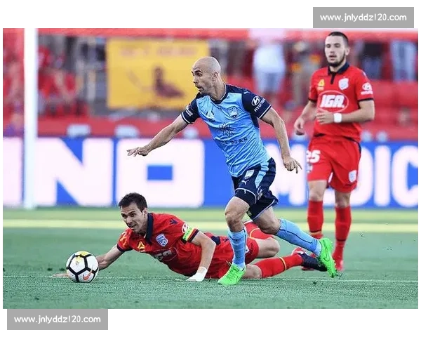 亚冠焦点战申花迎战珀斯光荣全力争胜展现主场气势冲击小组出线